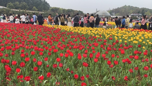 微信图片_20250324095924.jpg 微信图片_20250324095924.jpg