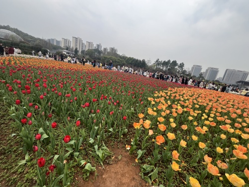 微信图片_20250324095930.jpg 微信图片_20250324095930.jpg